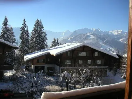 Arlette Nr. 30, Appartement 3 personnes à Schönried - Photo 4