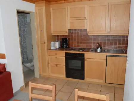 Mireille Nr. 6, Appartement 2 personnes à Schönried - Photo 6