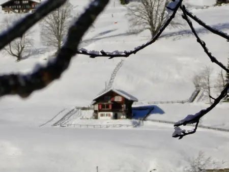 Sonnenfreude, Chalet, Appartement 7 personnes à Schönried - Photo 5