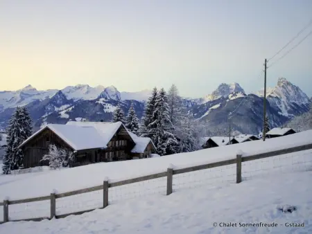 Sonnenfreude, Chalet, Appartement 7 personnes à Schönried - Photo 21