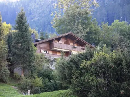 Eichhorn, Appartement 2 personnes à Zweisimmen - Photo 2