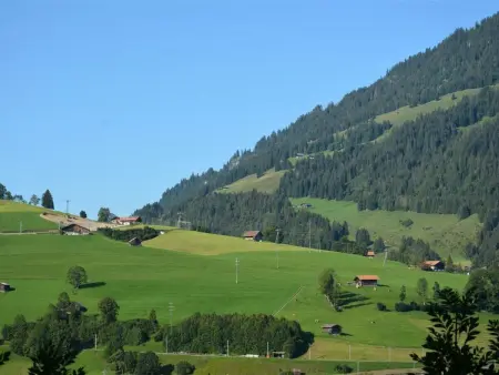 Eichhorn, Appartement 2 personnes à Zweisimmen - Photo 5