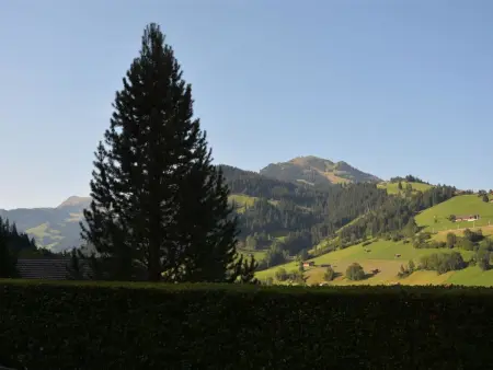 Eichhorn, Appartement 2 personnes à Zweisimmen - Photo 6