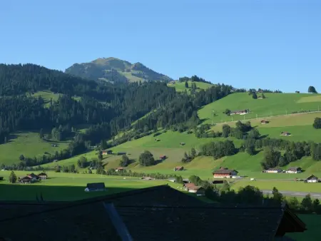 Eichhorn, Appartement 2 personnes à Zweisimmen - Photo 8