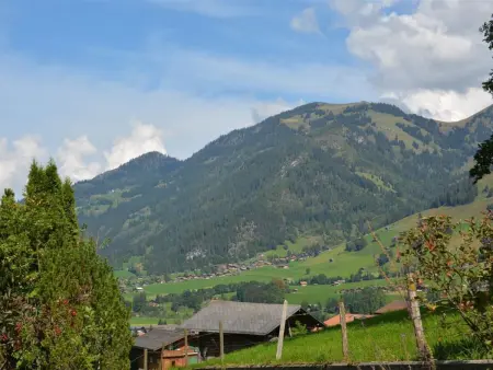Spillgerten-Blick, Appartement 4 personnes à Zweisimmen - Photo 5