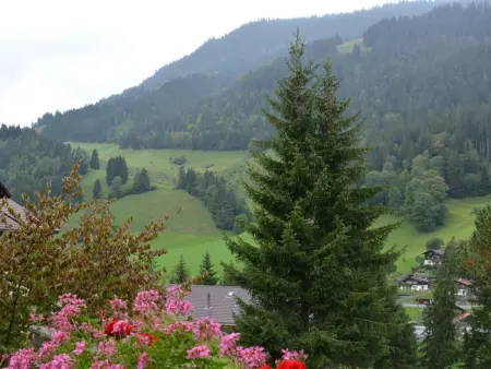 Spillgerten-Blick, Appartement 4 personnes à Zweisimmen - Photo 6