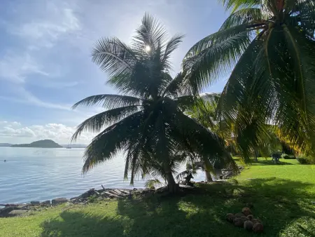 Appartement 1 chambre pieds dans l'eau - Les Trois-Îlets - Photo 5