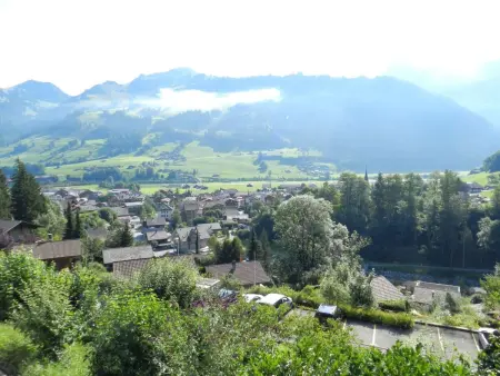 Goldrose, Appartement 4 personnes à Zweisimmen - Photo 9