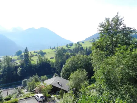 Goldrose, Appartement 4 personnes à Zweisimmen - Photo 10