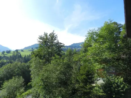 Goldrose, Appartement 4 personnes à Zweisimmen - Photo 11