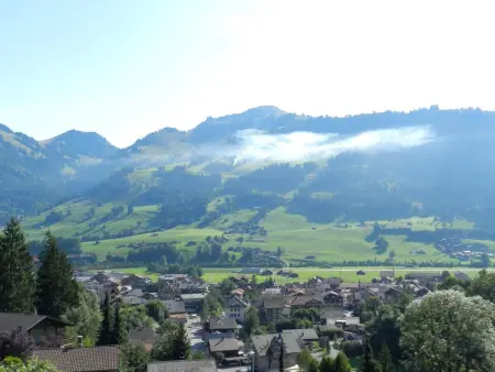Goldrose, Appartement 4 personnes à Zweisimmen - Photo 12