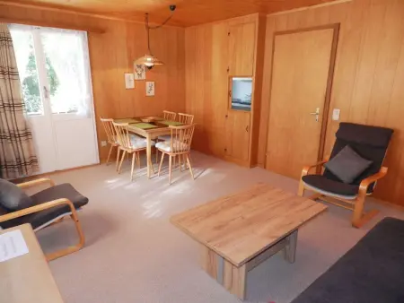 Goldrose, Appartement 4 personnes à Zweisimmen - Photo 20
