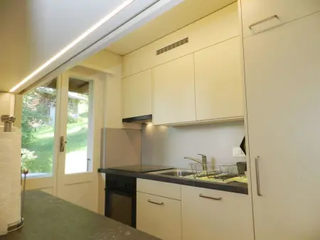 Goldrose, Appartement 4 personnes à Zweisimmen - Photo 27