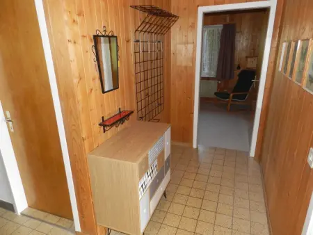 Goldrose, Appartement 4 personnes à Zweisimmen - Photo 34