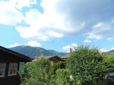 Abnaki, Chalet, Appartement 2 personnes à Gstaad - Photo 7