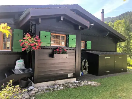 Abnaki, Chalet, Appartement 2 personnes à Gstaad - Photo 8
