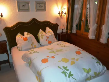 Abnaki, Chalet, Appartement 2 personnes à Gstaad - Photo 18