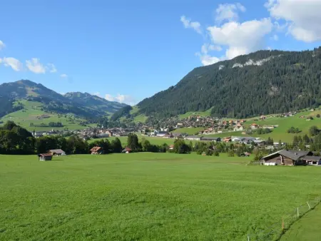 Alpha, Appartement 4 personnes à Zweisimmen - Photo 4