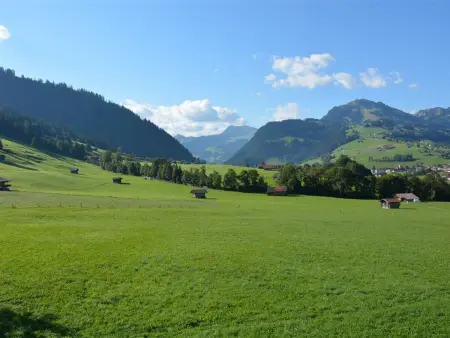 Alpha, Appartement 4 personnes à Zweisimmen - Photo 5