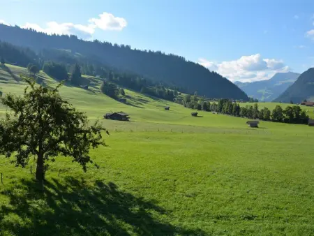 Alpha, Appartement 4 personnes à Zweisimmen - Photo 6