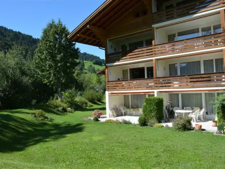 La Sarine 20, Appartement 4 personnes à Gstaad - Photo 2