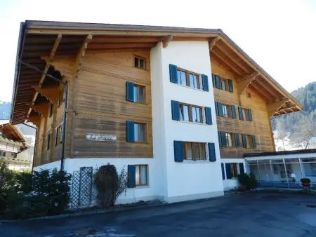 La Sarine 20, Appartement 4 personnes à Gstaad - Photo 4