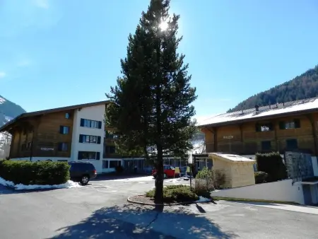 La Sarine 20, Appartement 4 personnes à Gstaad - Photo 9