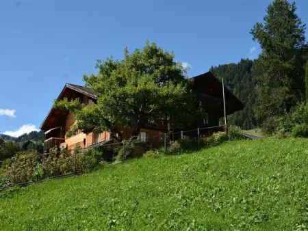 Meielblick, Appartement 4 personnes à Saanen - Photo 3