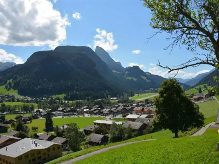 Meielblick, Appartement 4 personnes à Saanen - Photo 4