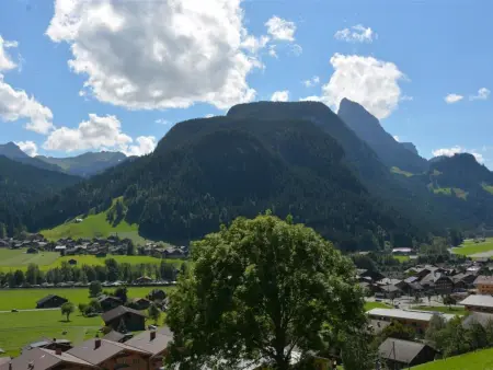 Meielblick, Appartement 4 personnes à Saanen - Photo 5