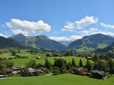 Meielblick, Appartement 4 personnes à Saanen - Photo 6