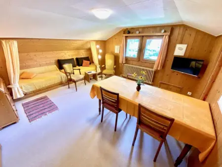 Meielblick, Appartement 4 personnes à Saanen - Photo 10