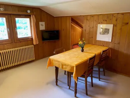 Meielblick, Appartement 4 personnes à Saanen - Photo 11