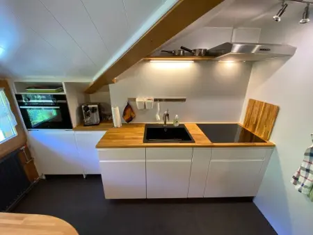 Meielblick, Appartement 4 personnes à Saanen - Photo 14