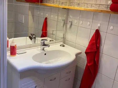 Meielblick, Appartement 4 personnes à Saanen - Photo 18