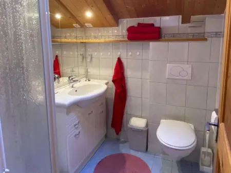 Meielblick, Appartement 4 personnes à Saanen - Photo 19