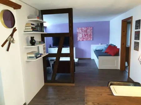 Gletscherhorn II (Tapia), Appartement 4 personnes à Zweisimmen - Photo 7