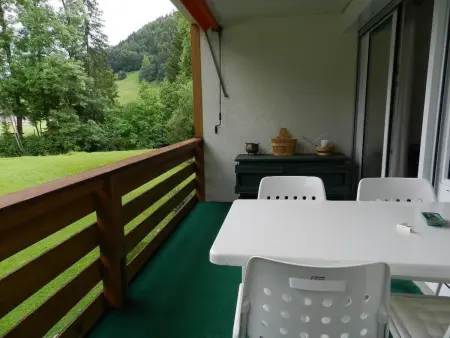 La Sarine 124, Appartement 4 personnes à Gstaad - Photo 6