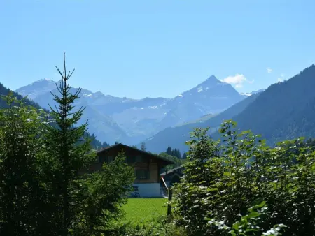 La Sarine 124, Appartement 4 personnes à Gstaad - Photo 7