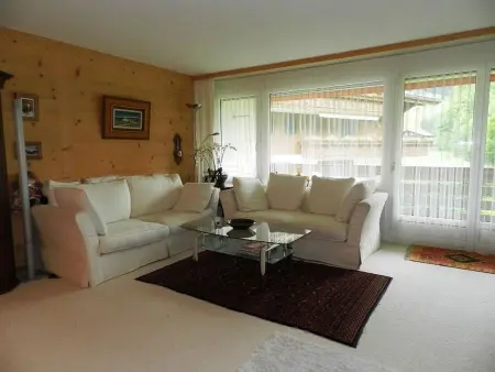 La Sarine 124, Appartement 4 personnes à Gstaad - Photo 22