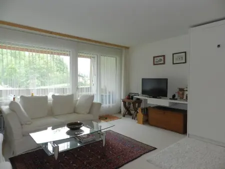 La Sarine 124, Appartement 4 personnes à Gstaad - Photo 23