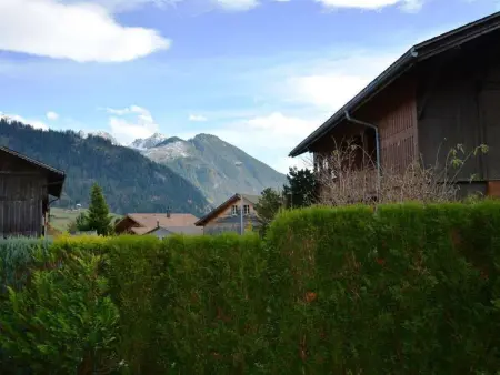 Simmental, Appartement 4 personnes à Zweisimmen - Photo 4