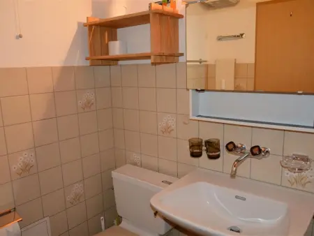 Simmental, Appartement 4 personnes à Zweisimmen - Photo 19