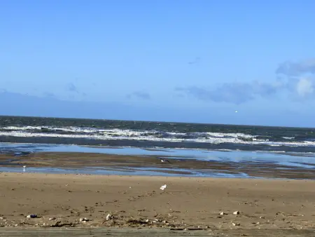 Le Garden Fleuri, Appartement 4 personnes à Blonville sur mer - Photo 22