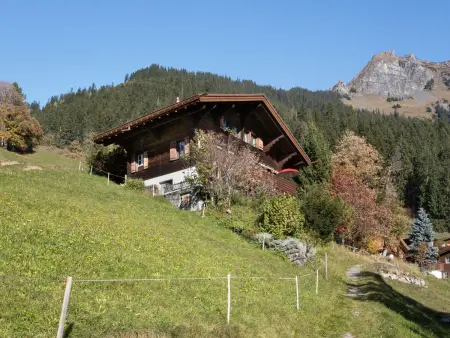 Jungfrau a d Ledi, Chalet 5 personnes à Wengen - Photo 7