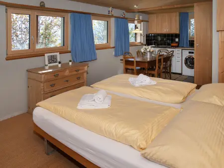 Jungfrau a d Ledi, Chalet 5 personnes à Wengen - Photo 22