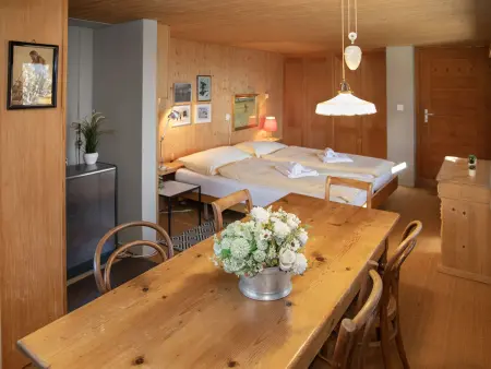 Jungfrau a d Ledi, Chalet 5 personnes à Wengen - Photo 23