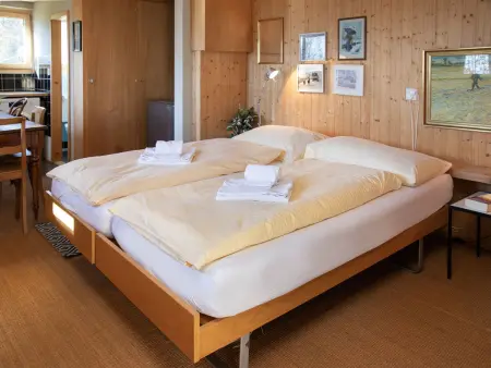 Jungfrau a d Ledi, Chalet 5 personnes à Wengen - Photo 24