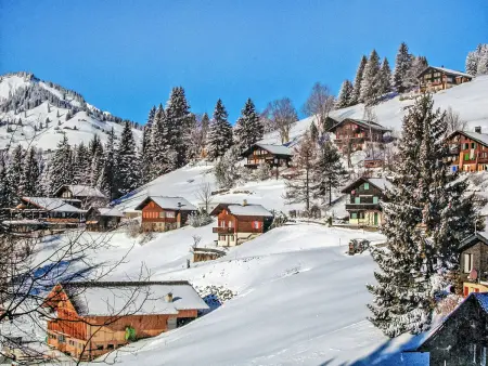 Jungfrau a d Ledi, Chalet 5 personnes à Wengen - Photo 36