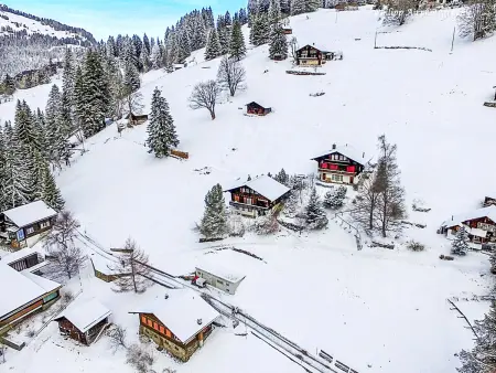 Jungfrau a d Ledi, Chalet 5 personnes à Wengen - Photo 37